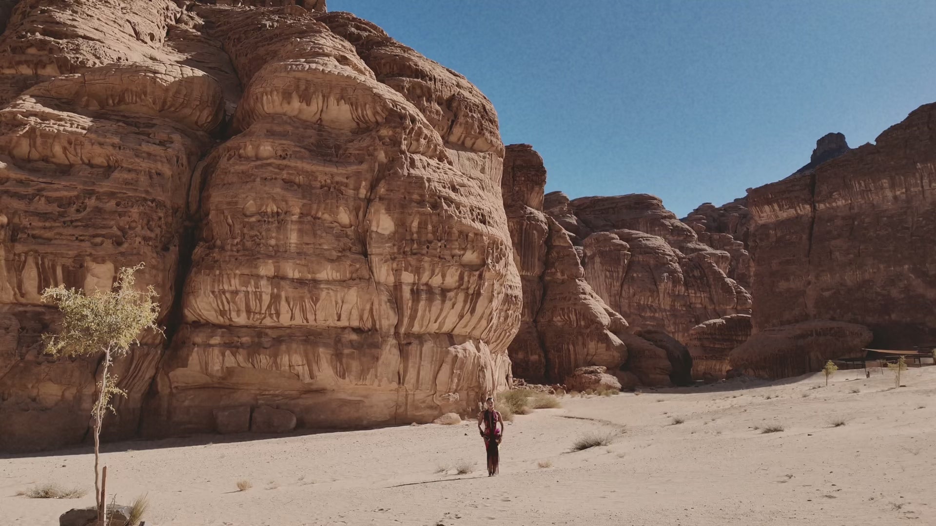 Load video: Signature Sarong in Wild